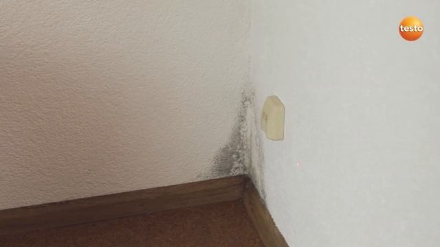 Détection des moisissures avec le testo 605i et le testo 805 | Be sure. Testo смотреть онлайн