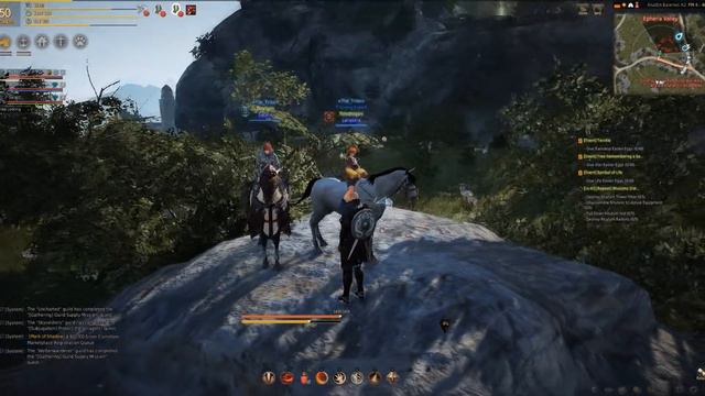 Black Desert Online: Top 5 Wild Horse Taming Locations / Guide to Training + Shenanigans! смотреть онлайн