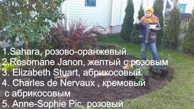 Дизайн дилетанта. Розарий своими руками. Разметка и посадка