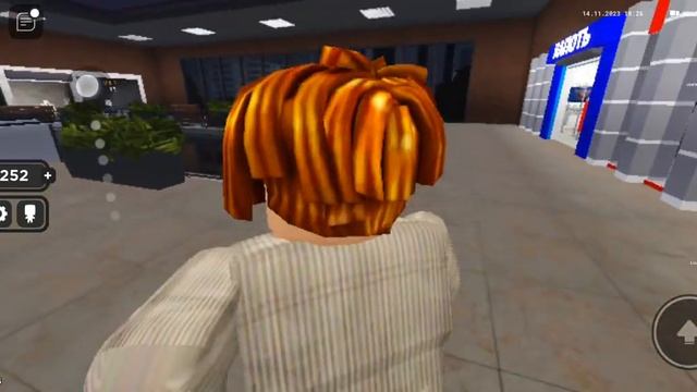 14 ноября 2023 г.