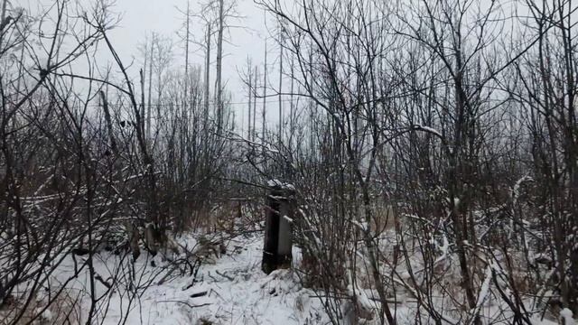 18 ЧАСТЬ HUNT/НОВЫЕ ИЗОЛЯТОРЫ В КОЛЛЕКЦИЮ и СНОВА МНОЖЕСТВО КОРЕЙСКИХ ИЗОЛЯТОРОВ.[INSULATOR HUNT] смотреть онлайн