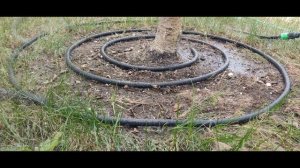 Шланг сочащийся для капельного полива - капля не простая