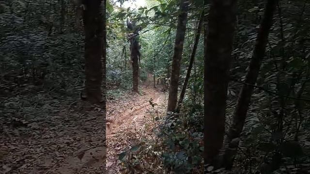 250 ngampun di tanjakan ular смотреть онлайн
