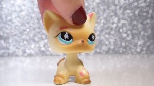 LPS: МОЯ КОЛЛЕКЦИЯ ЕВРОПЕЙСКИХ КОШЕК