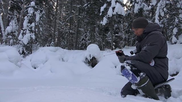 НЕВЕРОЯТНО! РУЧЕЙ ПО КОЛЕНО А КАКАЯ РЫБА!!! В РЕАЛЬНЫЕ ДЕБРИ ТАЙГИ НА РЫБАЛКУ! смотреть онлайн