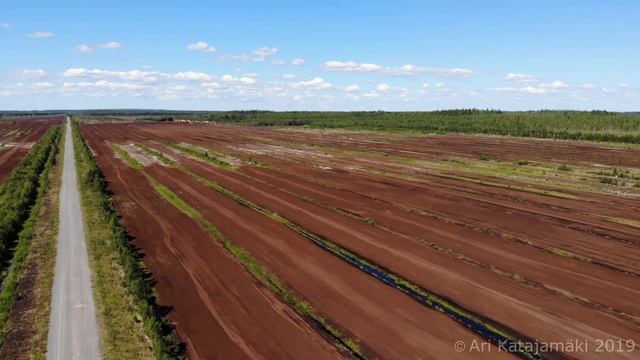 Vimpeli - Kesä 2018