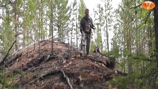 Тайны древней Сибири. Загадочные находки в тайге