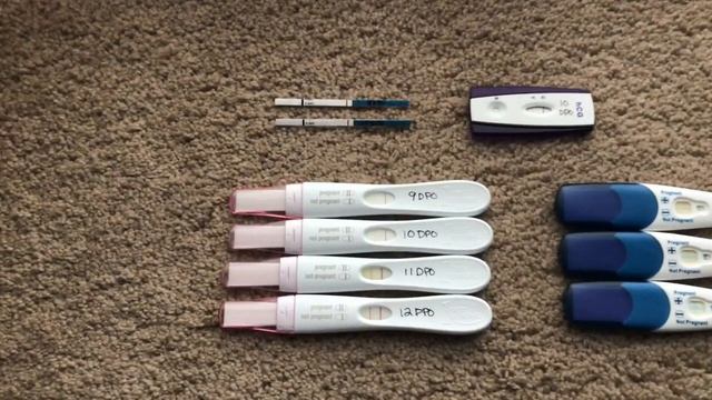 PREGNANCY TEST LINE PROGRESSION | 8-12 DPO | FIRST RESPONSE VS. CLEAR BLUE смотреть онлайн