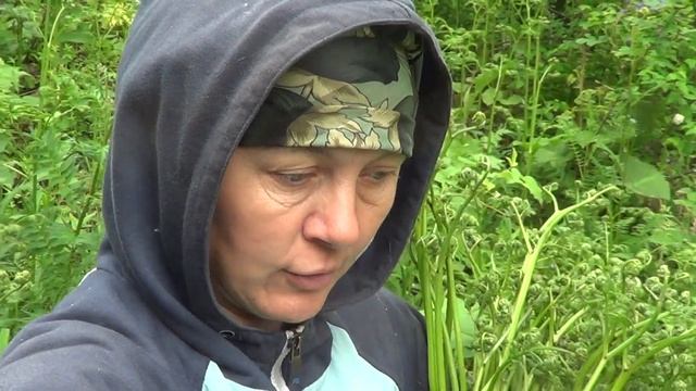 Секреты Творческого Саморазвития