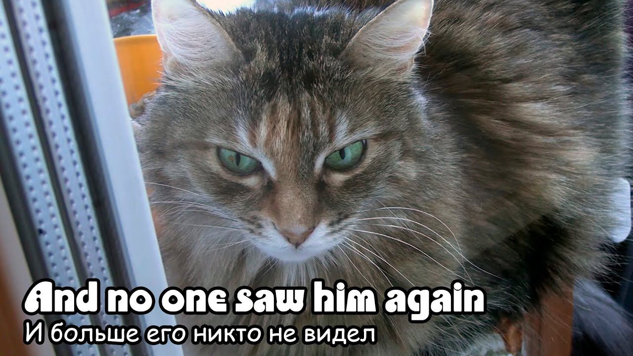 И больше его никто не видел (2022) Короткометражный фильм смотреть онлайн