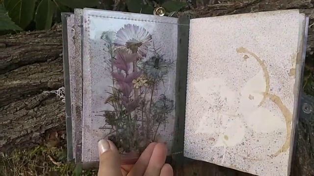 Ботанический блокнот