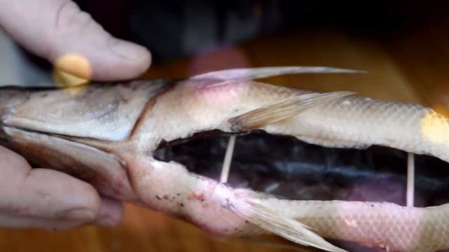 Рыба горячего копчения. Готовлю в самодельной коптильне на природе. и мясо и рыба смотреть онлайн