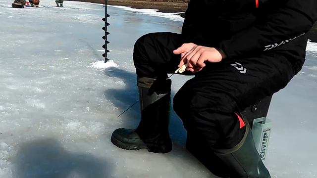 Спортивная ловля окуня. 28.03.2015 г. смотреть онлайн