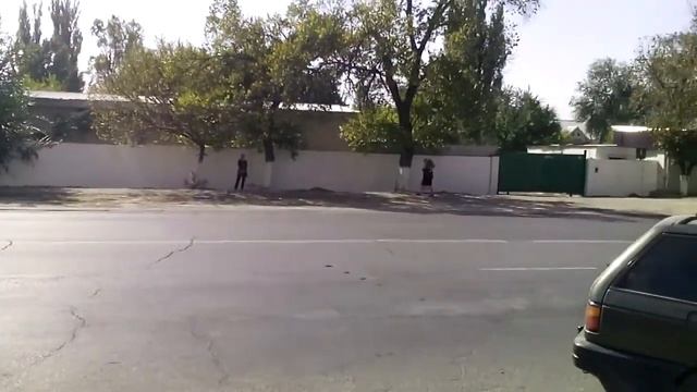 Зелёный Ковёр и 11 микрорайон