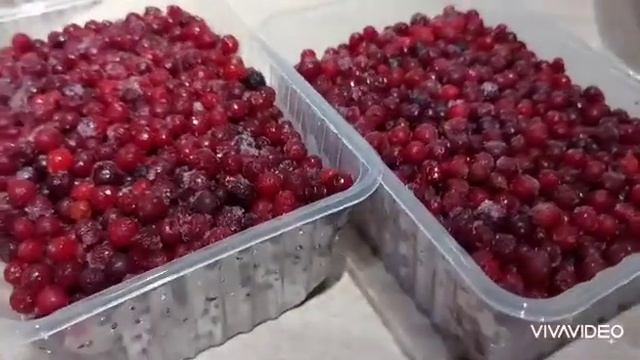 С/м ягоды в ассортименте.  #клюква #морошка #черника #брусника