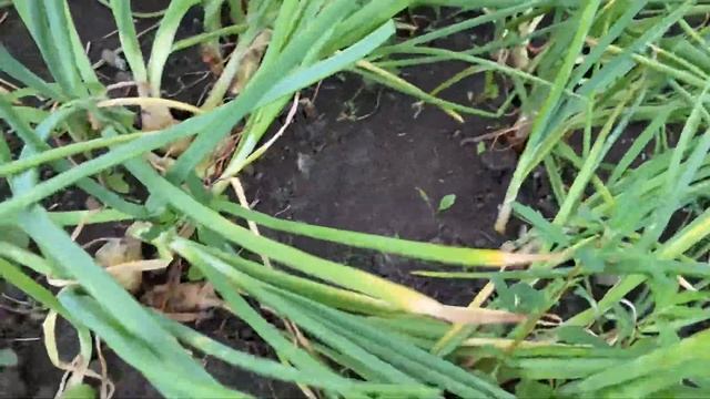 16 июля 2021 г. смотреть онлайн