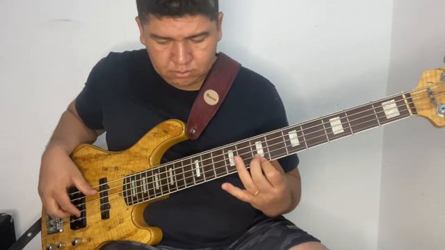 Show Completo - Bass Cover [ Cort GB5 pré De Oliveira ] смотреть онлайн