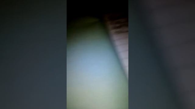 Делаю Домашнее задание по русскому языку смотреть онлайн