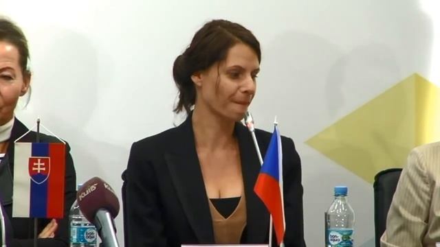 Діяльність Європейської Культурної Платформи в Україні. Досвід ЄС. УКМЦ, 8-09-2015 смотреть онлайн