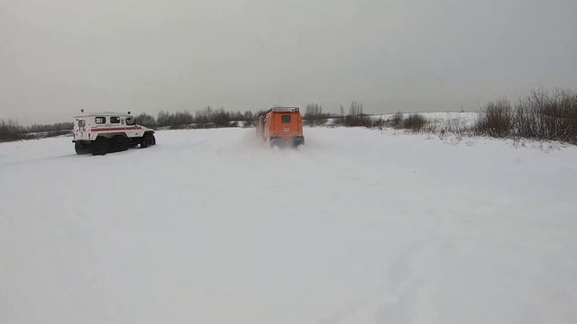 Лось и Трэкол смотреть онлайн