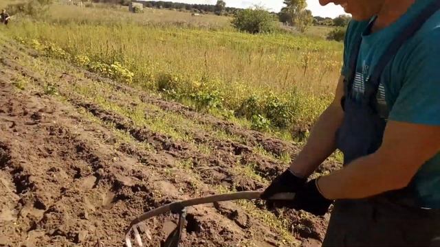 Самый быстрый и легкий способ выкопать картошку вручную смотреть онлайн