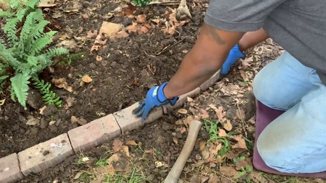 Bluebird and Nikko Blue Hydrangea Bed Cleanup & Border Install смотреть онлайн