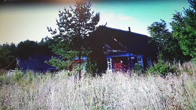 Житуха. Трухлявенький дом с золотым УНИТАЗОМ. смотреть онлайн