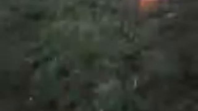 есть курить??? смотреть онлайн