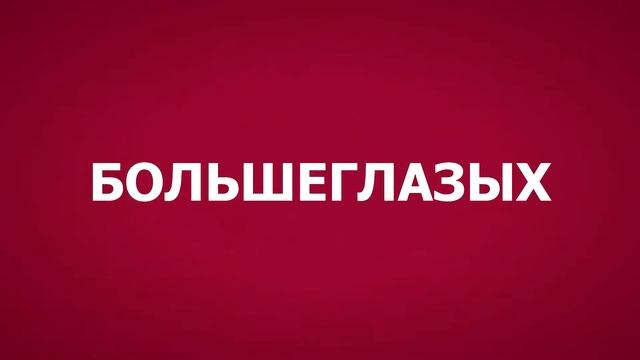 STOMP. Анимация текста при помощи маркеров. Авторское видео. смотреть онлайн