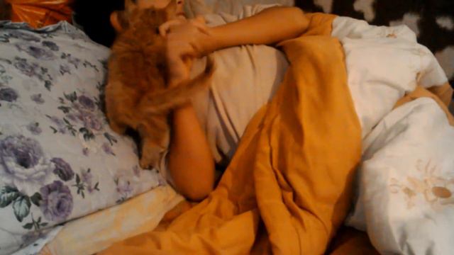 Ласковый котёнок смотреть онлайн