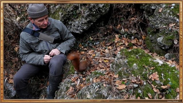 Il mio amico scoiattolo un anno dopo - My Friend Squirrel a Year later смотреть онлайн