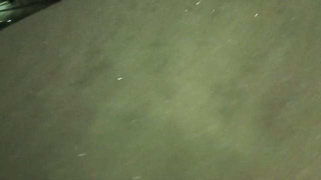 Вечерняя прогулка,месяц,мороз,снег идёт