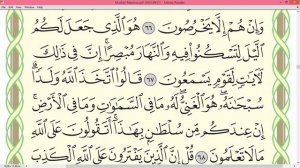 Шейх Айман Сувейд сура Юнус стр 216