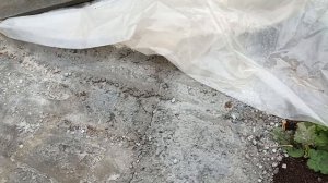 Делаем курятник из пеноблока. Часть 2. фундамент