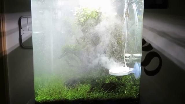 Chihiros Doctor Mini