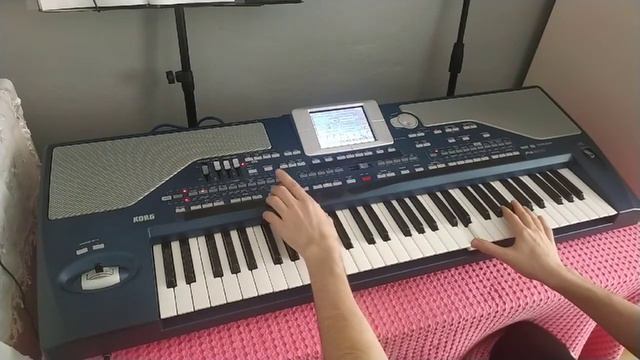 Elfida(Slow+Rock) Enstrümantal Korg Pa 800