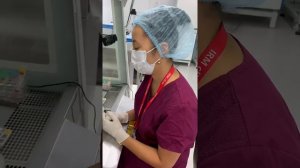 Как проходит разморозка эмбрионов?