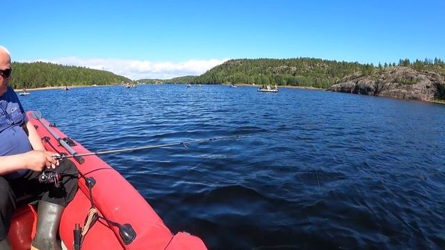 ТАКОЙ КЛЁВ БЫВАЕТ РАЗ В 2 ГОДА / SUCH A BITE HAPPENS ONCE IN 2 YEARS смотреть онлайн