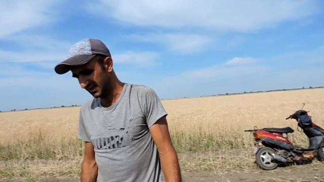 Арбуз херсонщины #5 Подкормка, Удобрение и опрыскивание Талисман Ф1 смотреть онлайн