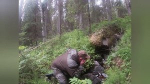 Белое море.Чупа рыбалка.