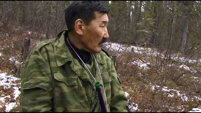 Охота на изюбря в Якутии смотреть онлайн