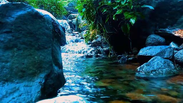 Peace and the sweet sound of a piano on the river. Peace of mind#9 смотреть онлайн