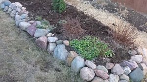 ВЕСЕННИЕ ХЛОПОТЫ 🧹🧹✂️