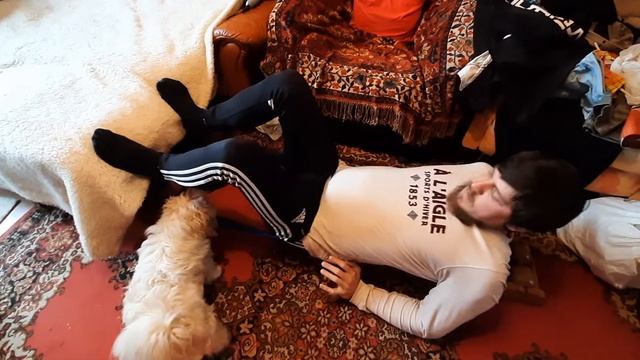 Вытягивание позвоночника на древмасе смотреть онлайн