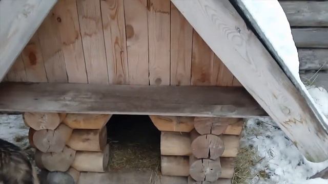 Собачья будка. Таунхаус для Мухтара. смотреть онлайн