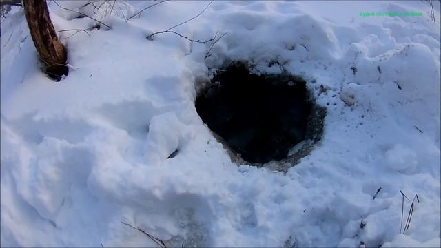 Зимний выход бобра.Охота на бобра (Будни охотника и рыбака) смотреть онлайн