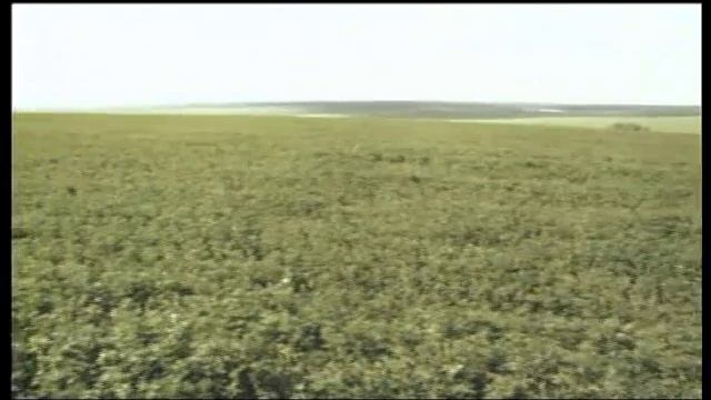 СЕДМОТО КОЛЯНО, ЕДИН ФИЛМ ЗА БЕСАРАБСКИТЕ БЪЛГАРИ, ЧАСТ 1 смотреть онлайн