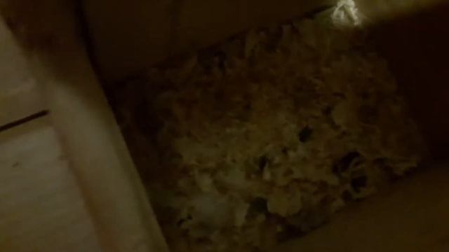 Моя конюшня смотреть онлайн