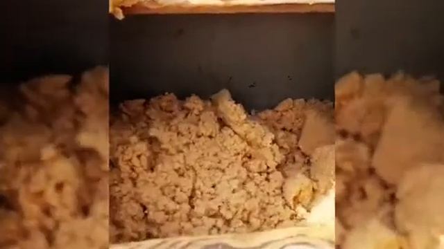 #gutex #steico #эковата #калининград смотреть онлайн