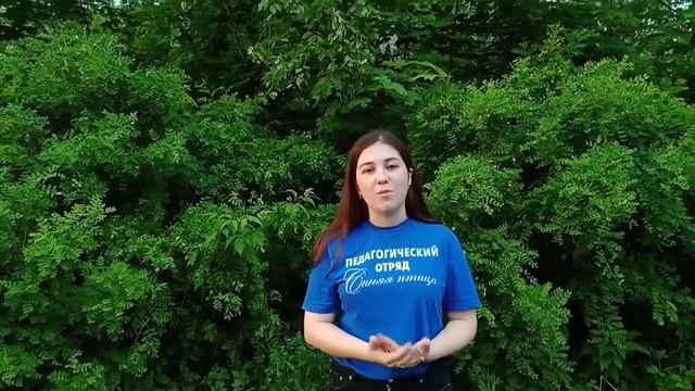 ИГРОТЕКА ВОЖАТОГО. Игры с залом 1 часть смотреть онлайн